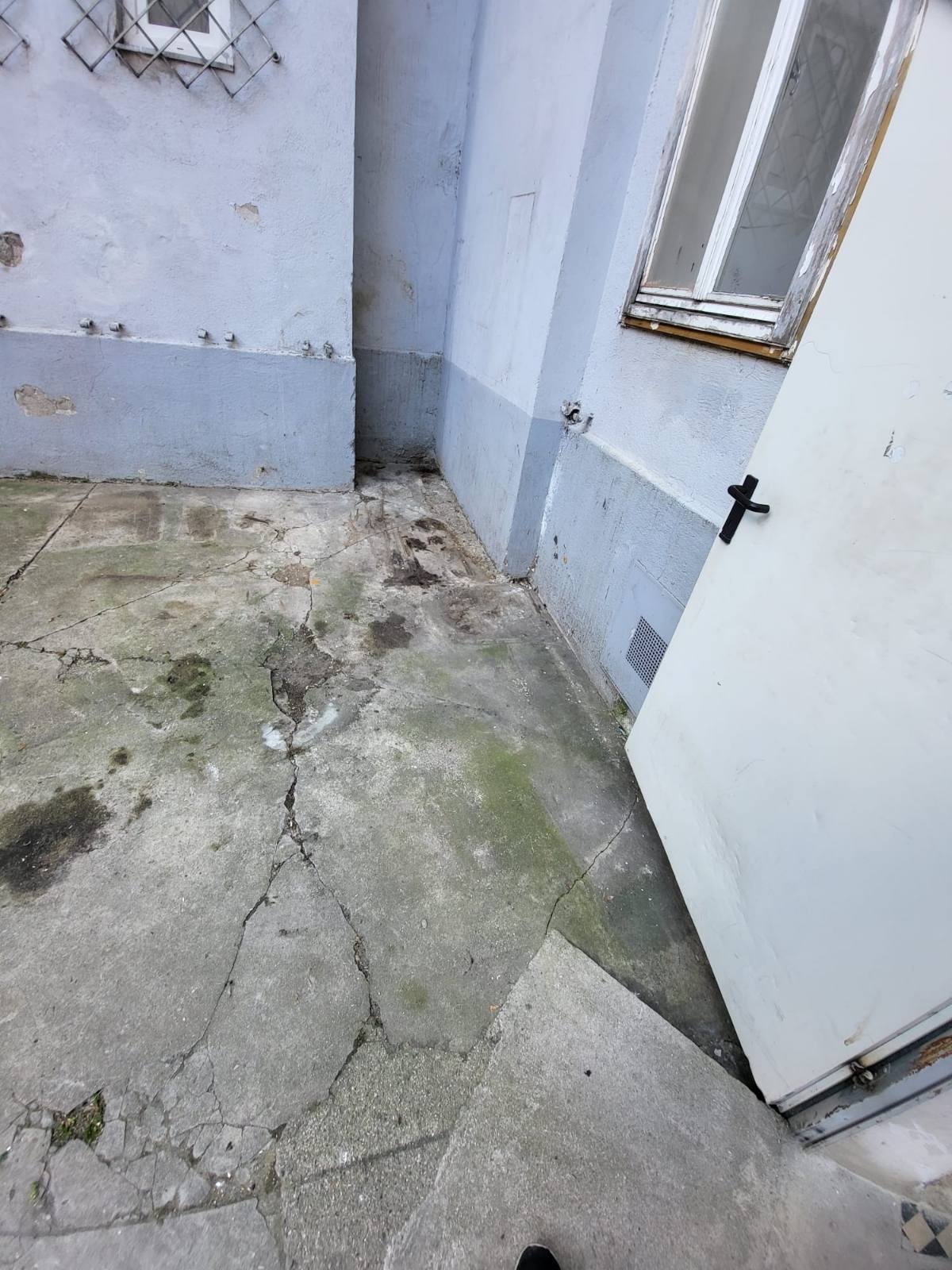 01 R Putzfirma_Putzfrau